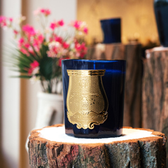 Cire Trudon Candle